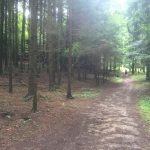 Thoreau's "Cosmopolitical Proposal"