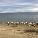 Patagonia Day 3