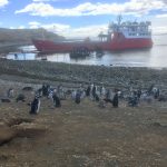 In Patagonia Day 5