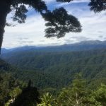 A Tramp Abroad Redux—the Sound of Moss