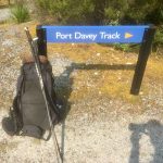 In Tasmania Day 2  Huon Campground to Junction Creek