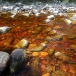In Tasmania Day 8 Cox Bight to Louisa River 17km