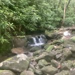 Walking to the Smoky Mountains, Day 7