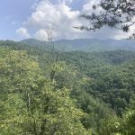 Walking to the Smoky Mountains, Day 15