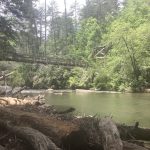 Walking to the Smoky Mountains, Day 2
