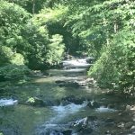Walking to the Smoky Mountains, Day 19