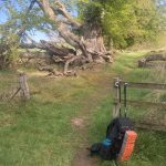 Walking to Cape Wrath, Day 2 May 12, 2022