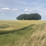 The Ridgeway, July 14 Day 2, 22 miles