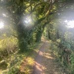The Ridgeway, July 16 Day 4, 21 miles